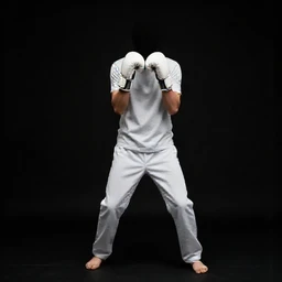 Private Jet Interior