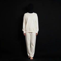 Private Jet Interior