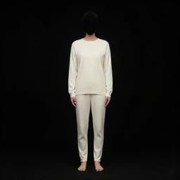 Private Jet Interior