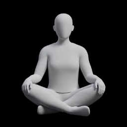 Private Jet Interior