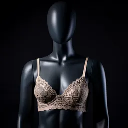 Private Jet Interior