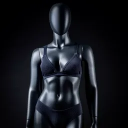 Private Jet Interior