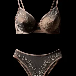 Private Jet Interior