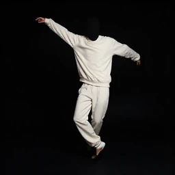 Private Jet Interior