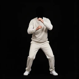 Private Jet Interior