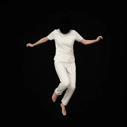 Private Jet Interior