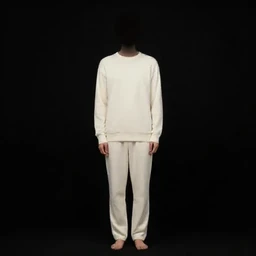 Private Jet Interior