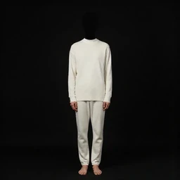 Private Jet Interior