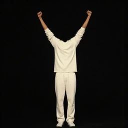 Private Jet Interior